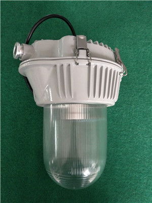 NF302防水防塵工廠燈 工業(yè)照明的堅(jiān)實(shí)防線
